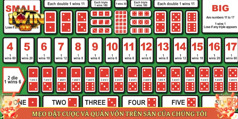 Mẹo Đặt Cược Và Quản Vốn Trên Sân Của Chúng Tôi