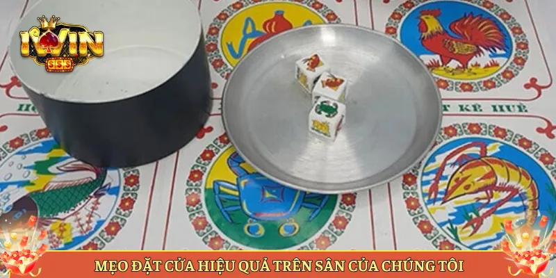 Mẹo Đặt Cửa Hiệu Quả Trên Sân Của Chúng Tôi